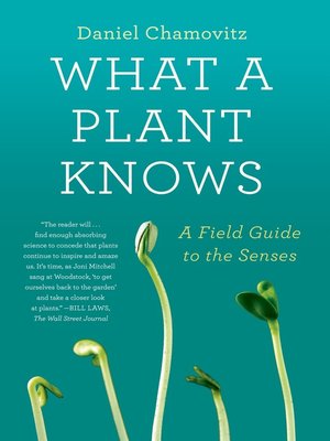 cover image of What a Plant Knows